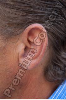 Ear texture of street references 358 0001